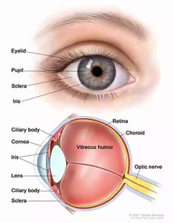 [A MUST READ] 6 Surprising Things Your Eyes Reveals About Your Health